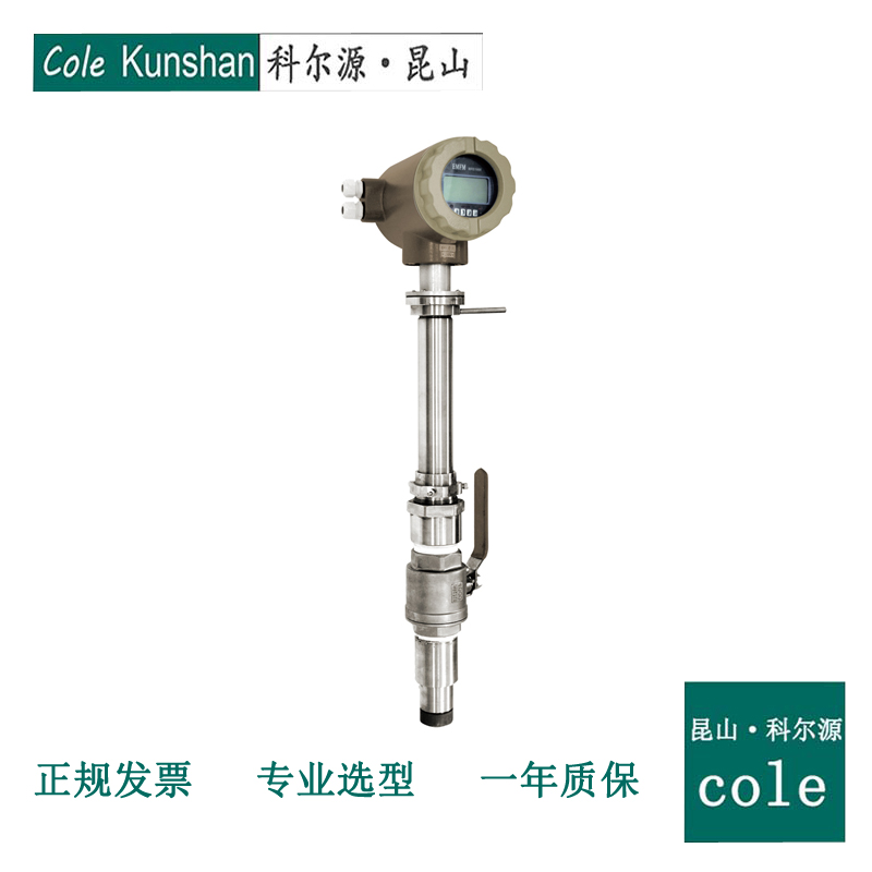 LDC plug in electromagnetic flowmeter