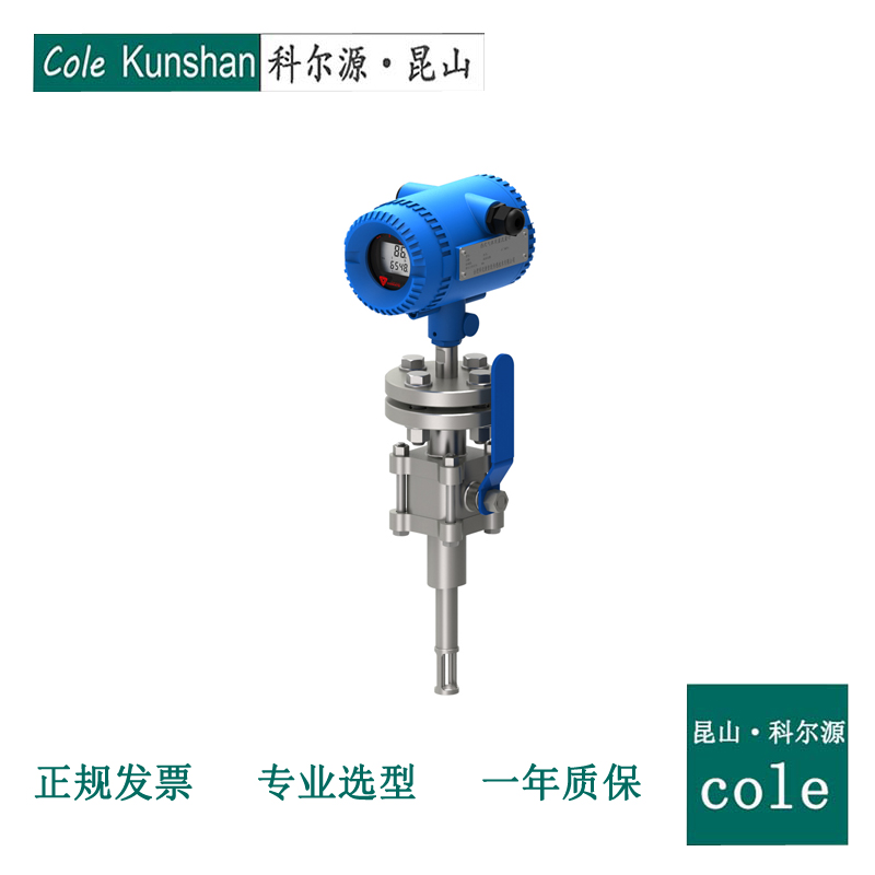 Thermal gas mass flowmeter